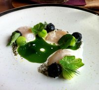 Scallops, cucumber and dill ash