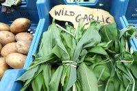 Wild garlic in Galway market