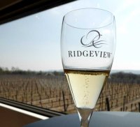 Glass of bubbly at the Ridgeview estate