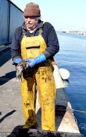 Fisherman with cuttlefish at Hove lagoon
