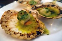 Charcoal-roasted scallops with white port and garlic