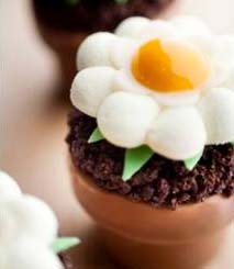 Snails and daisies at Alain Ducasse