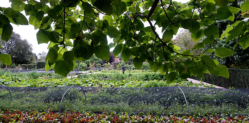 Gardens at Le Manoir