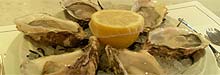 The best London restaurants for oysters