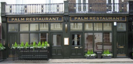 Palm