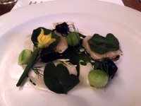 Scallop, cucumber and dill ash from Tom Sellers