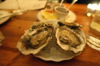 Quartet of oysters from the raw bar