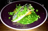 Seared sea bass