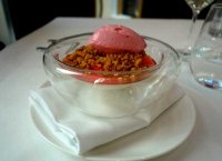 Vanilla panna cotta with ginger poached rhubarg, crumble and rhubarb sorbet