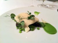 Braised fillet of brill with wild leaf garlic pannacotta, peas, feves and morels