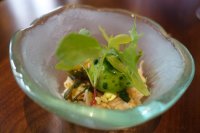 Portland crab with lettuce and seaweed