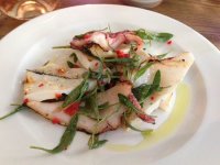 Squid and sea purslane