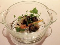 Dorset snails with malt soil and chickweed
