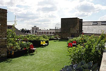 dalston roof park