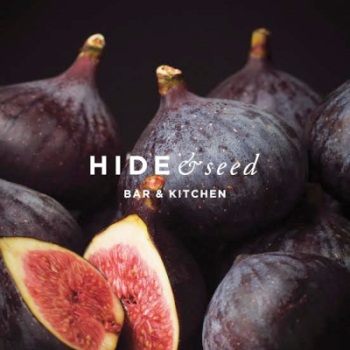 hideandseedlogo