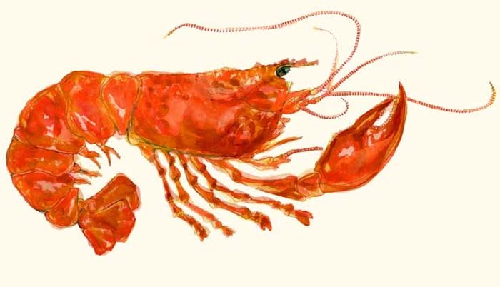Lobster Bar brings lobster benedict, lobster rolls and more to Hackney
