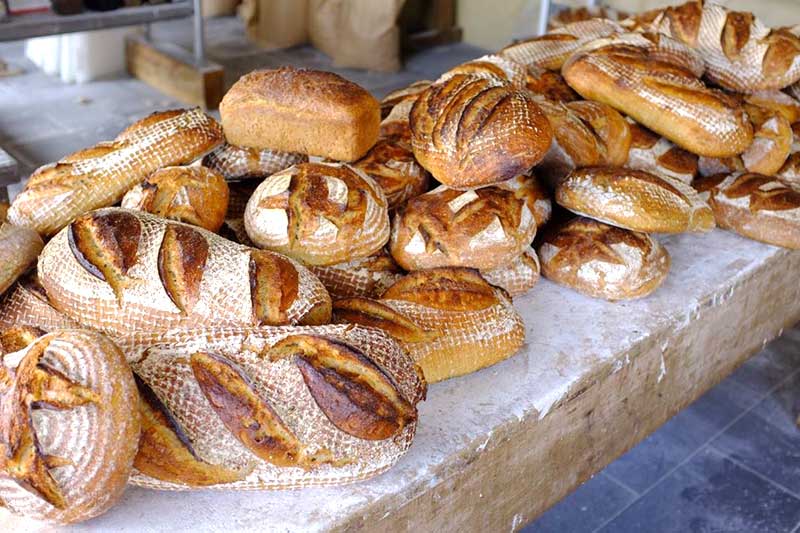 jolenefood