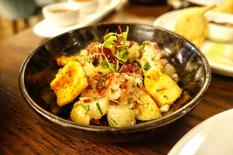 octopus