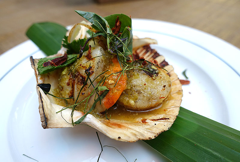 scallops