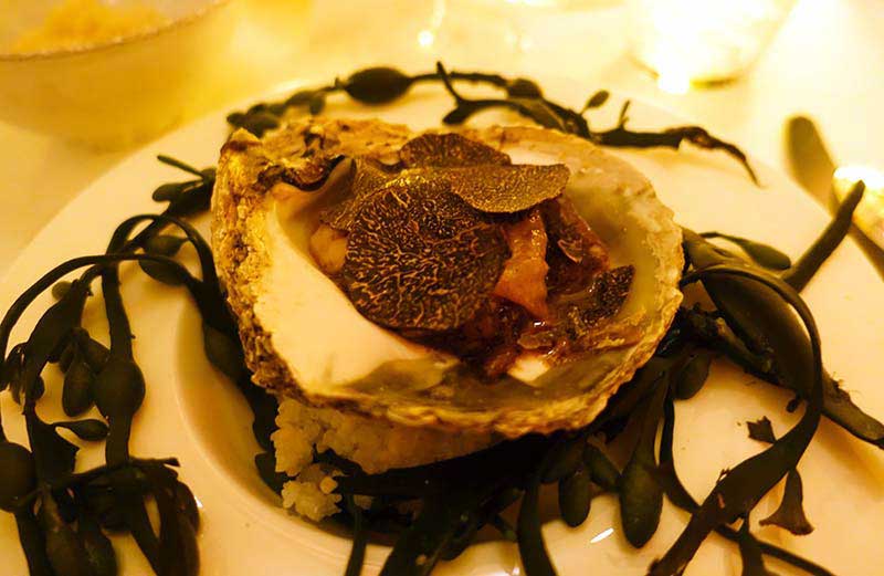 oyster