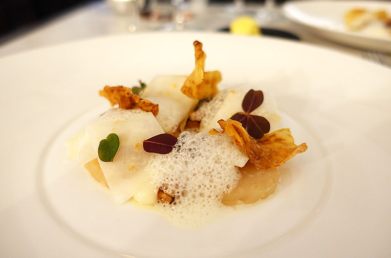 scallop