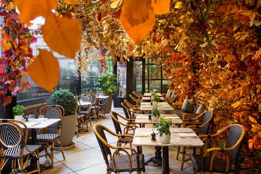 dalloway terrace debuts autumn look