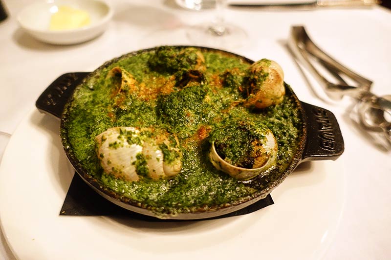 snails