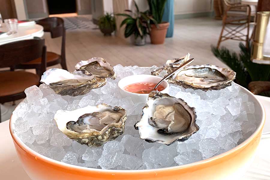 Oysters