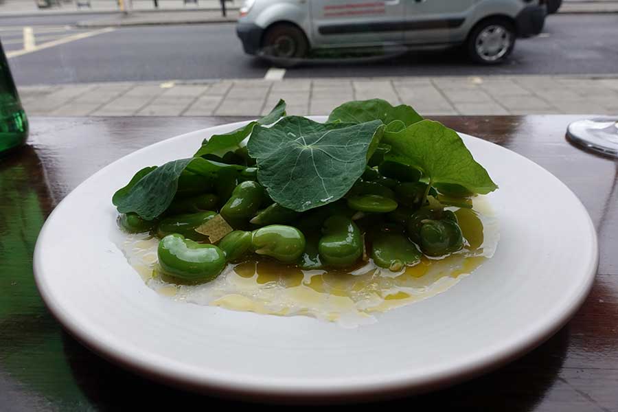 broadbeans