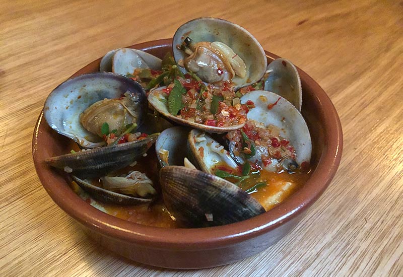 clams