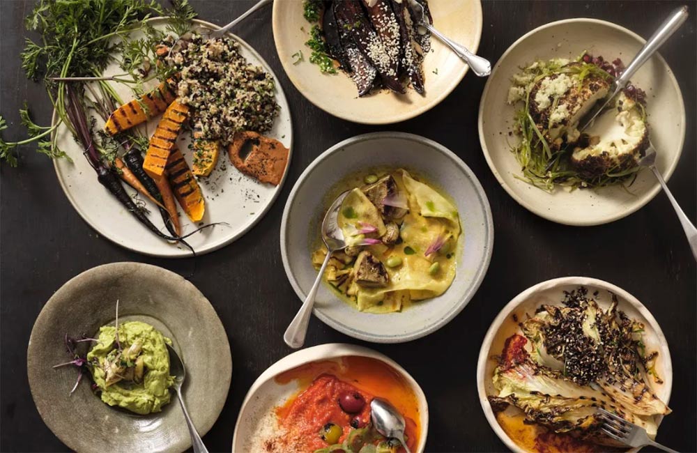 tendril pop up sun and 13 cantons