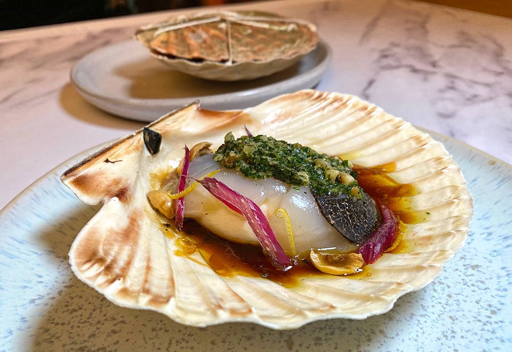 scallop