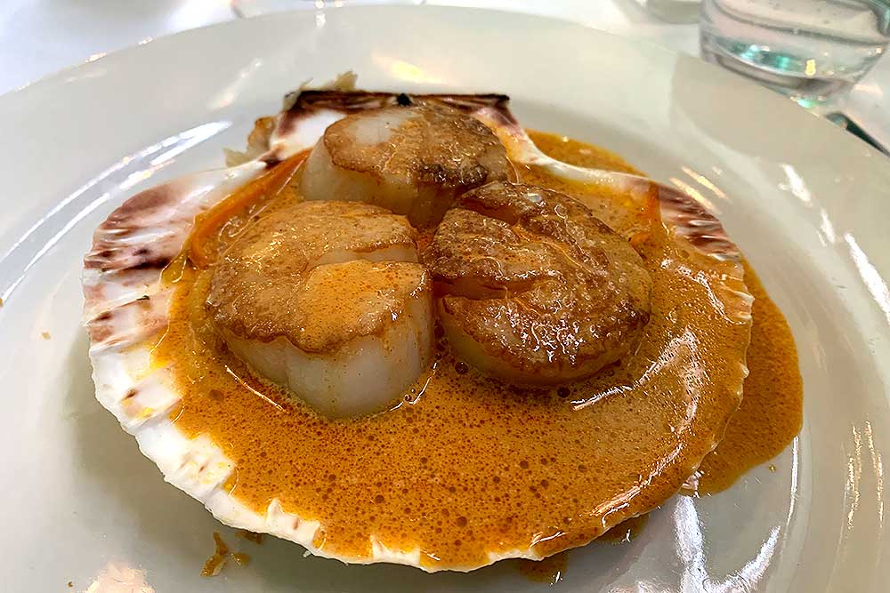 scallops