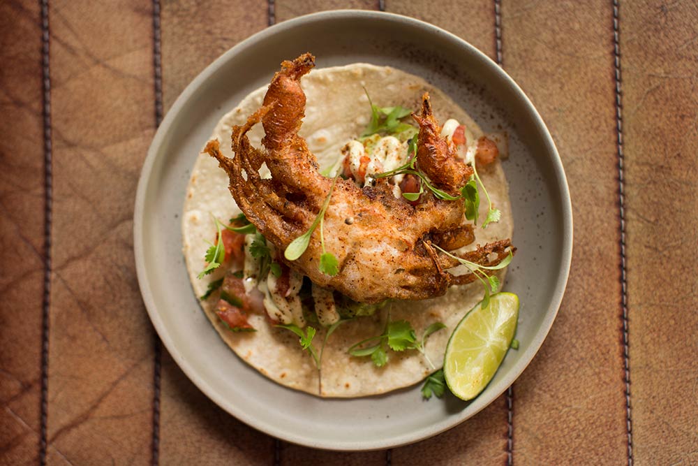Taqueria's second restaurant in sixteen years is in Exmouth Market