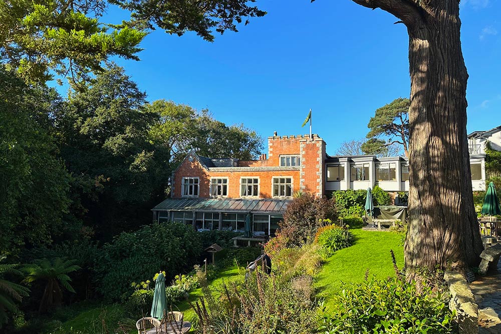 where to eat and drink in falmouth