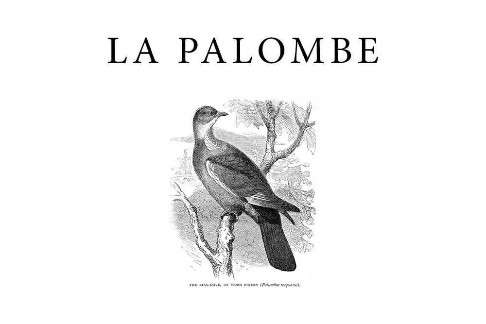 la palombe restaurant kensington london