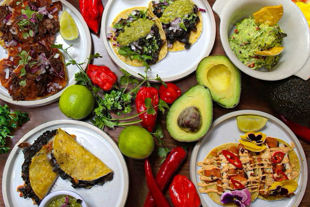 el cenote mexican bar and restaurant opening in camden