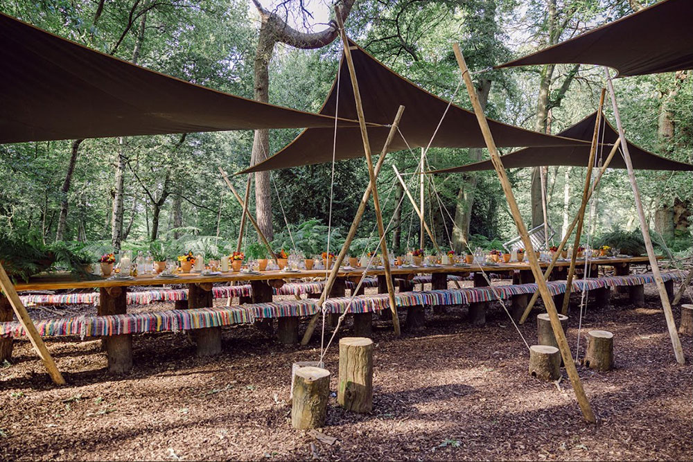 hawksmoor in the woods at the grove