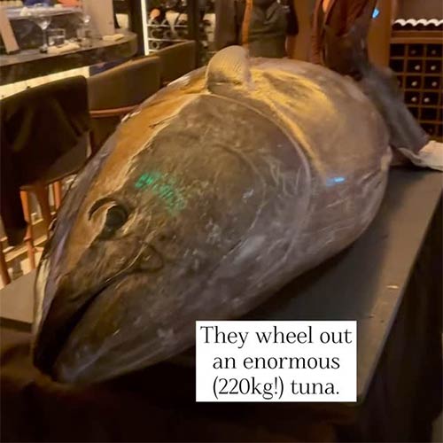 The Tenrei tuna dinner at Los Mochis