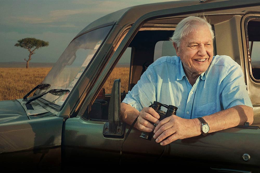 The all round legend that is David Attenborough is celebrated with shows on the BBC this week.
