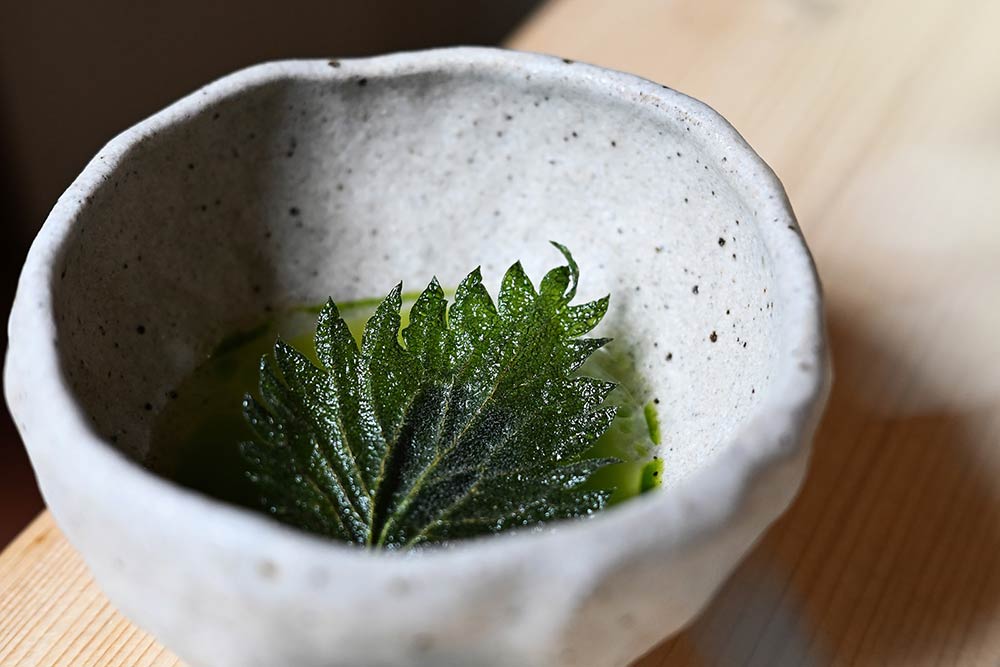 Chef Will Devlin takes to the rooftops to open Nettle at The Conduit