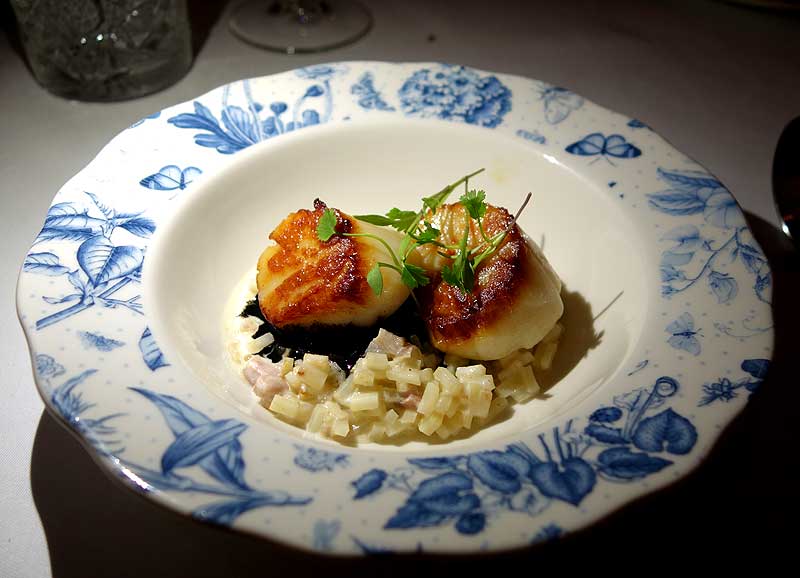 scallops