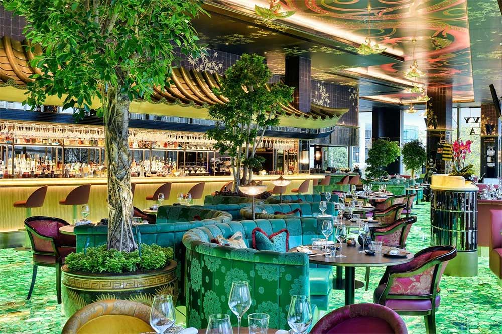 The Ivy Asia
