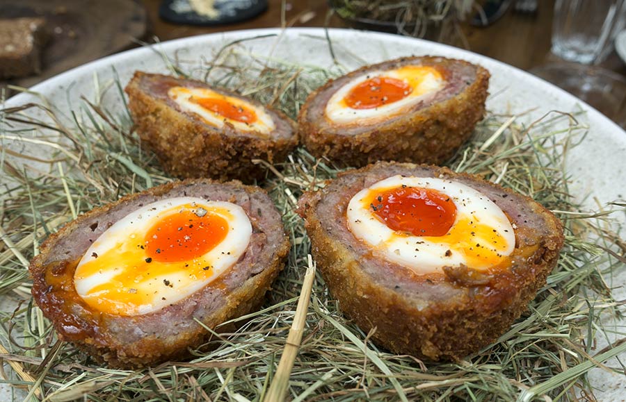 London's best scotch egg