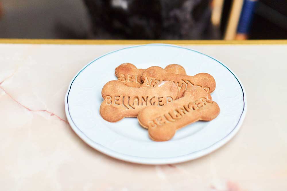 the-best-dog-friendly-restaurants-in-london-hot-dinners-recommends