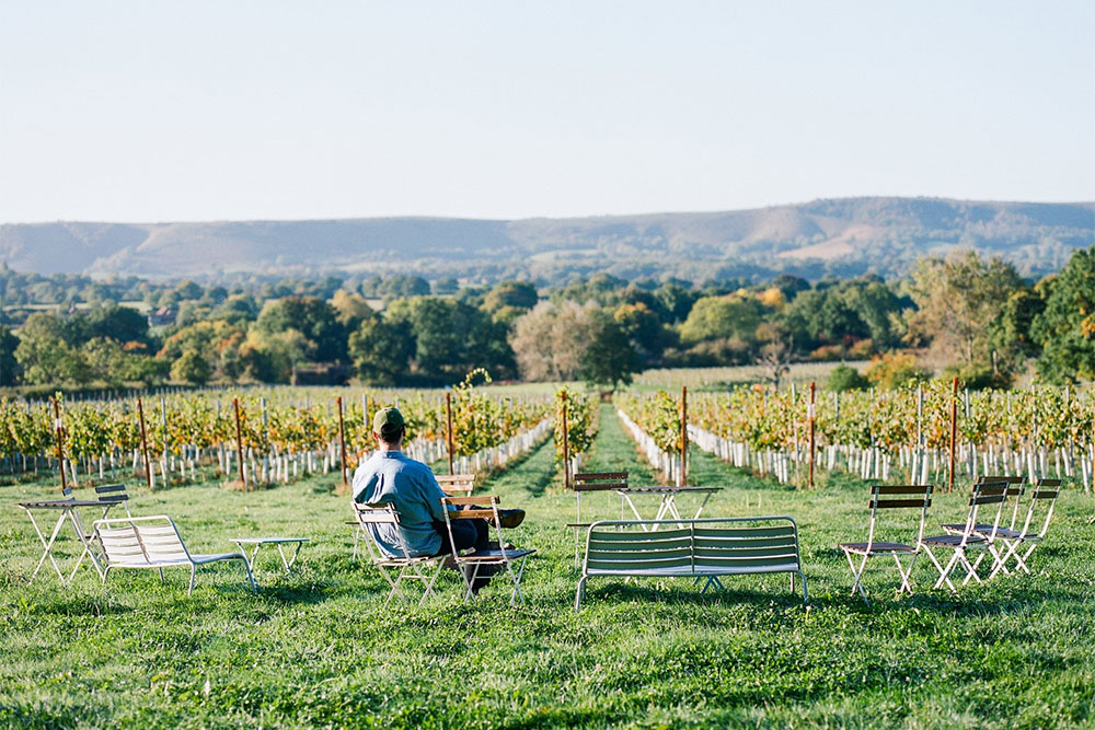 artelium vineyard tours