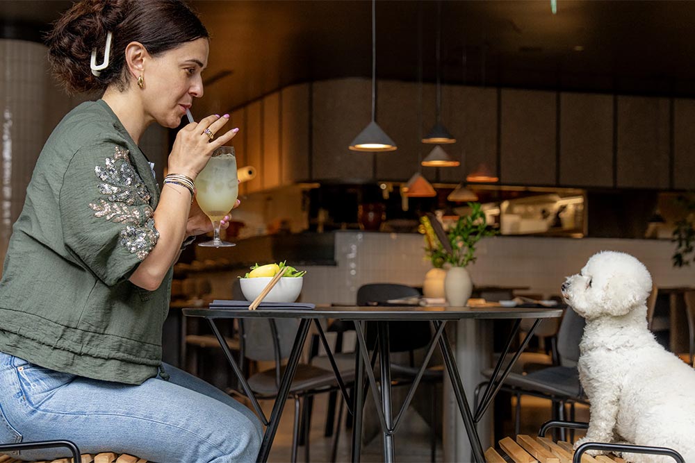 london's best dog-friendly restaurants