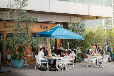 the best places to eat and drink in canary wharf by dumpling queen Wenjun Xiang