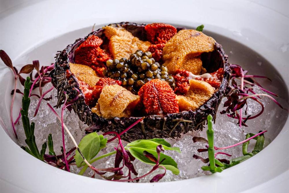 The new restaurants and bars opening in London this week