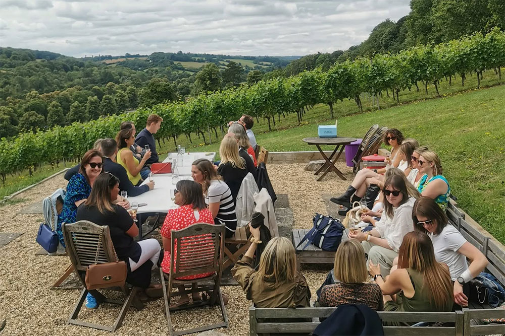 Fairmile Vineyard